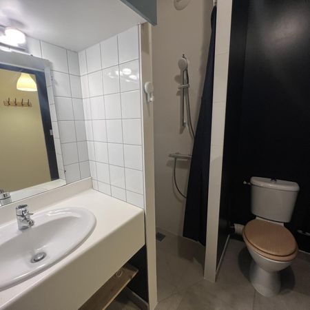 Location Appartement RENNES / Quartier CENTRE-VILLE - Photo 4