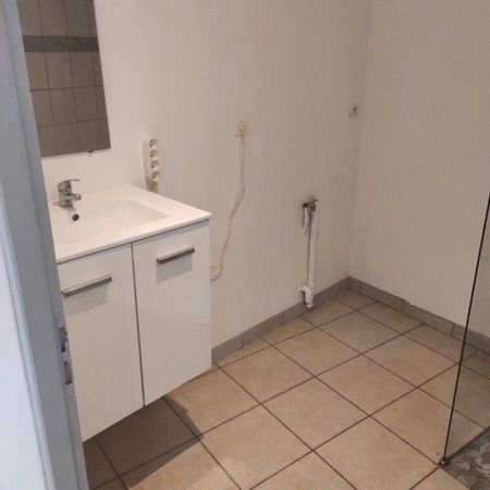 Location Appartement 3 pièces 60m² SALLAUMINES 62430 - Photo 4