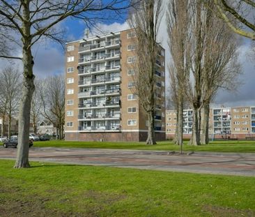 Zuidervaart 0ong, 1504 Zaandam, Nederland - Photo 1