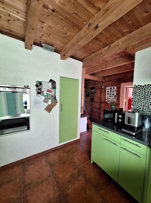 3-ROOM HOUSE IN BRITTNAU (AG), FURNISHED, TEMPORARY - Photo 1