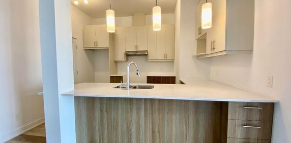 Longueuil 4 1/2 spacieux 1051 pi ca - Photo 2