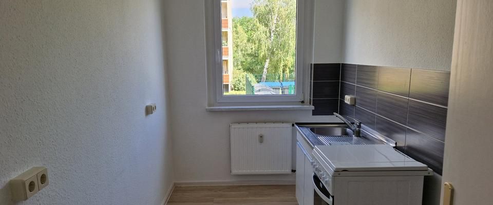 gemütliche 1-Raum-Wohnung im Erdgeschoss - Foto 1