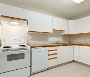 - 3 Bedroom at Halman Heights Townhomes - Photo 5