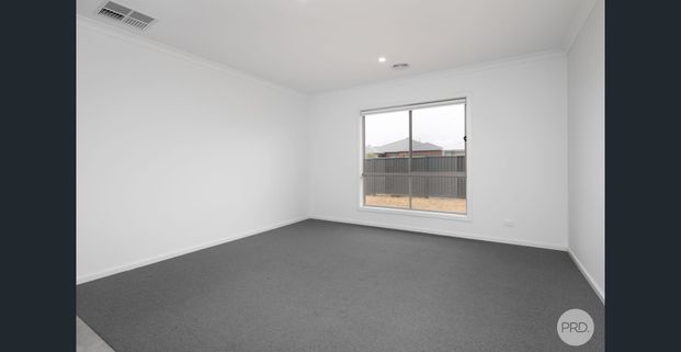 SPACIOUS FAMILY LIVING IN THE HEART OF LUCAS! - Photo 1