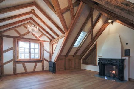 Charming 3-room apartment with fireplace in Weinfelden - Foto 5