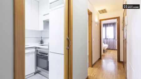 Tranquil 1-bedroom apartment for rent near iconic Gran Vía in lively Malasaña - Foto 3