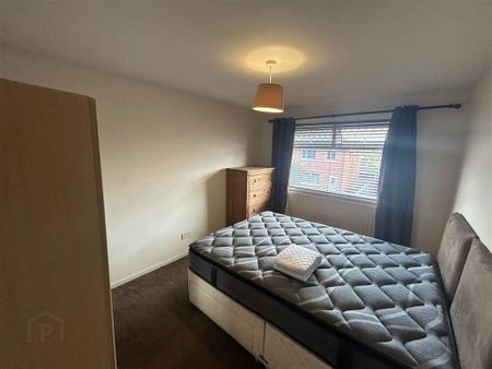 14 Sunnyside Crescent, Belfast, BT7 3DB - Photo 5