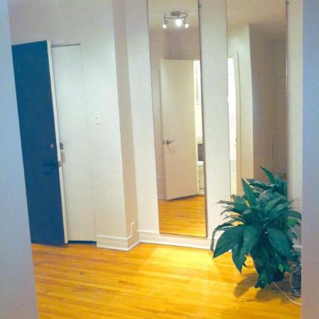 Studio - Montréal - $940 /mo - Photo 3