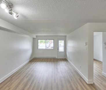 3 1/2 - Deux-Montagnes - 1 275 $/mois - Photo 4