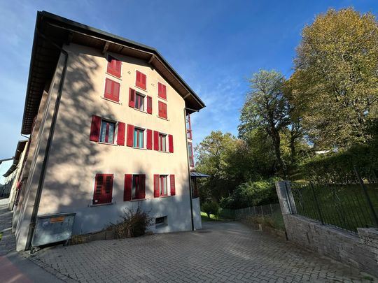 GRANDE APPARTAMENTO IMMERSO NEL VERDE - Photo 1