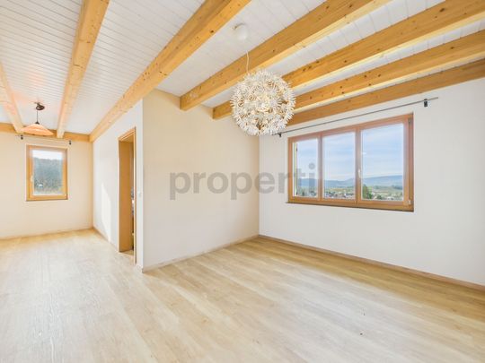 Quiet 4.5-room single-family house with large terrace in Breitenbach - Foto 1