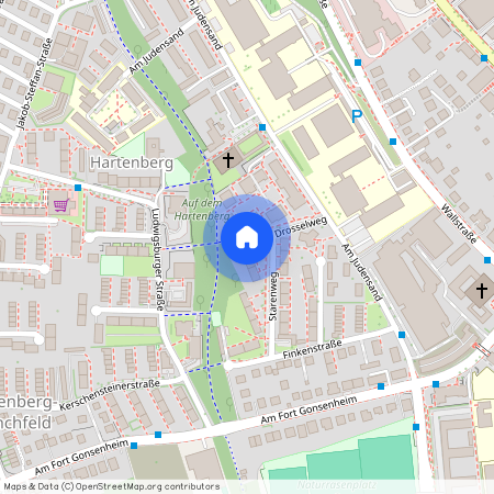 Starenweg 17, 55122, Mainz