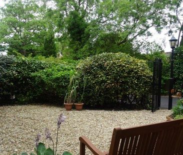 1 bedroom Apartment to rent - Photo 6