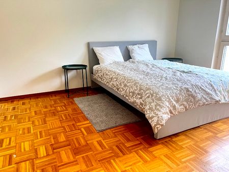 3½ ZI-WOHNUNG IN PREGASSONA (TI), MÖBLIERT - Foto 5