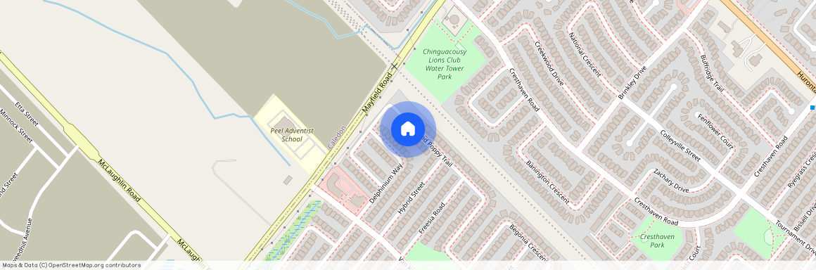 76 Iceland Poppy Trail, Brampton