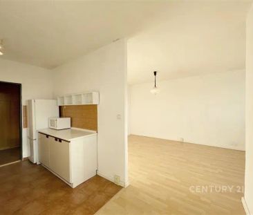 Pronájem, Byt 1+1, 41 m - Photo 2