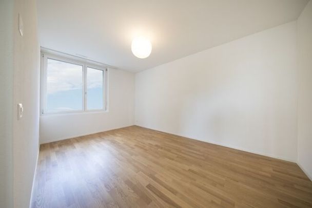 Votre recherche se termine ici - Photo 1