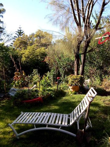 Brunswick West - Photo 2