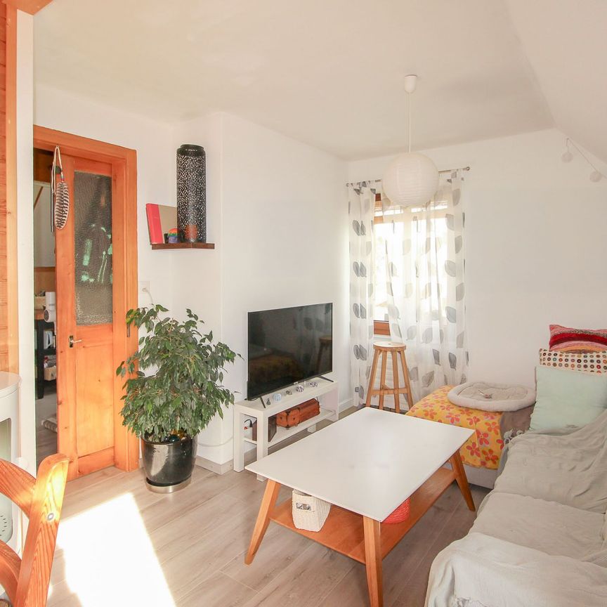 3-room apartment with beautiful view of the Alps - Photo 1