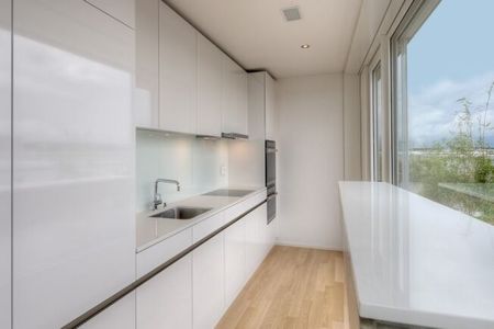 Pleasant feeling above the rooftops of Aarau - Foto 3