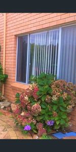 4/64 Cook Avenue, Surf Beach, NSW 2536 - Photo 3