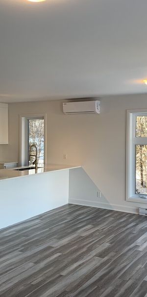 4 1/2 Mirabel St-Canut - Photo 1
