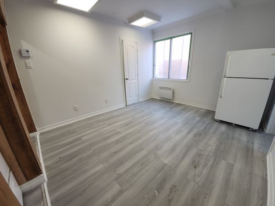 Appartement d’une chambre rénové, semi-meublé. - Photo 1