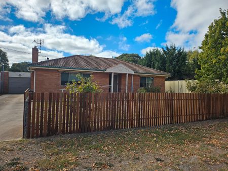 5 Tivey Street, Newstead - Photo 4