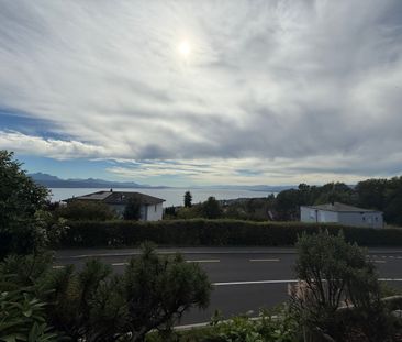 LUTRY - APPARTEMENT D'EXCEPTION AVEC VUE SUR LE LAC ET LES ALPES - Foto 3