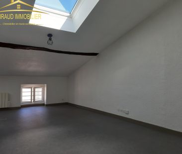 Location Appartement 2 pièces 38m² CHARLIEU 42190 - Photo 6