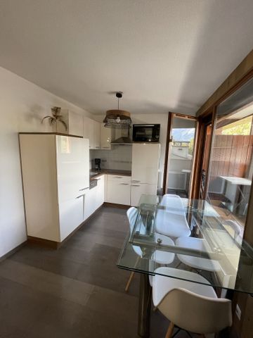 Location Appartement 1 pièce 33m² SAMOENS 74340 - Photo 3