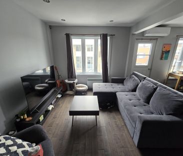 8179 Rue St-Hubert - Photo 6