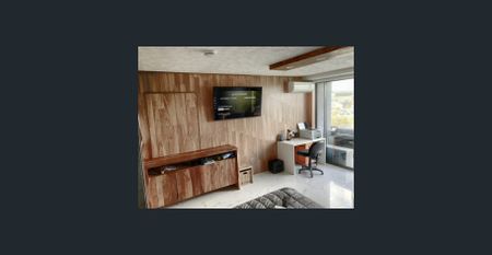 Renovated studio with views over lake and Bond Uni. sound proofed unit - Photo 5