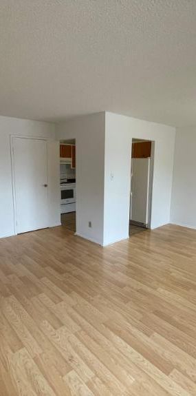 1 CH - 1 SDB - Côte Saint-Luc - $1,240 /mo - Photo 1