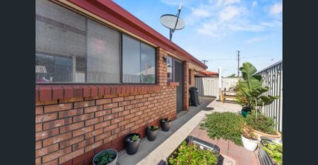 Location + Liveability = Healthy Efficient & Comfortable - Photo 3