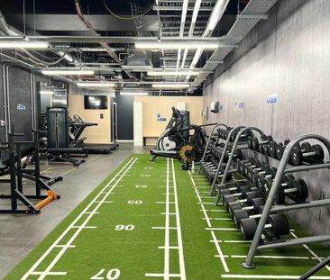 Studio to rent - Photo 2