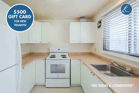 Ellis Creek Townhouses - Photo 2