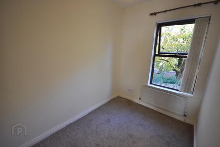 17 Musgrave Park Court, Belfast, BT9 7HZ - Photo 5