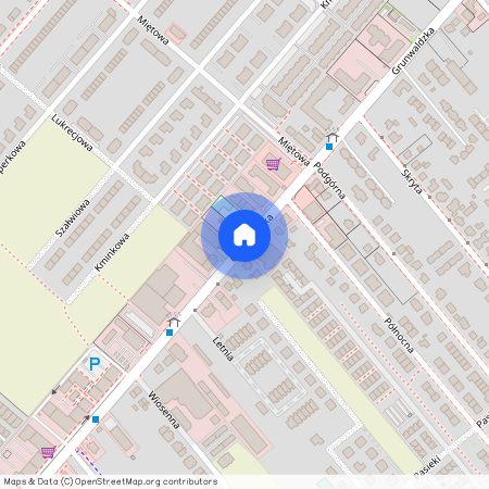 ul. Grunwaldzka, Plewiska, Komorniki, poznański, wielkopolskie