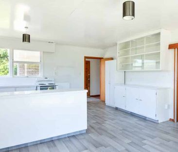 Check This One Out! - Photo 3