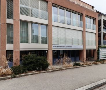 In the middle of the city, in the middle of life - Foto 6