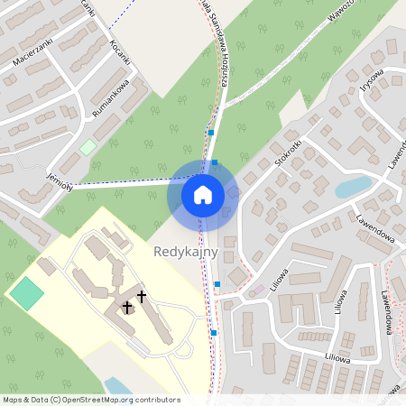 Redykajny, Kardynała Stanisława Hozjusza, Olsztyn