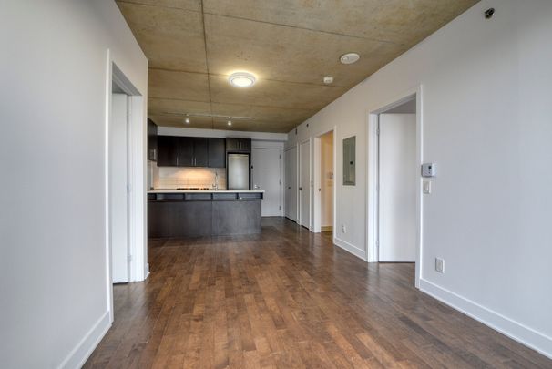 Appartement - 1451-1414 Rue Chomedey - Photo 1