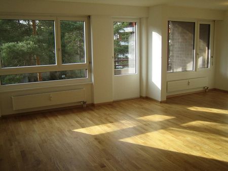 Zuhause im schönen Arlesheim - Basel Land - Foto 2