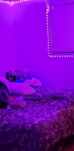 Appartement 4 1/2 - Photo 1