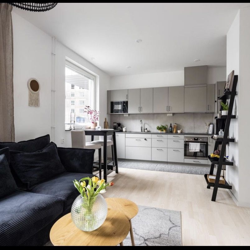 Gaffelseglet, Vega - Photo 1