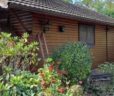 Bungalow te huur in Sint-Kwintens-Lennik voor € 1.050 met 1 slaapkamer - Photo 3