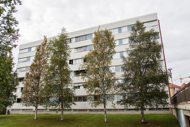 Hamnplan 20 B, 94161, Piteå - Foto 1
