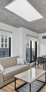 Condo Style Loft 1 chambre a coucher Griffintown 1085 Smith, Montreal FULLY FURNISHED/MEUBLÉ, gym, pool, spa, appliances, piscine, electros - Photo 3