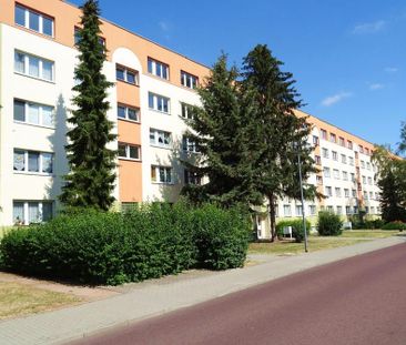 Geräumige 3-Raum-Wohnung im Erdgeschoss mit 2 Balkonen zu vermieten! - Foto 1